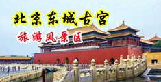 屌插逼水多视频中国北京-东城古宫旅游风景区